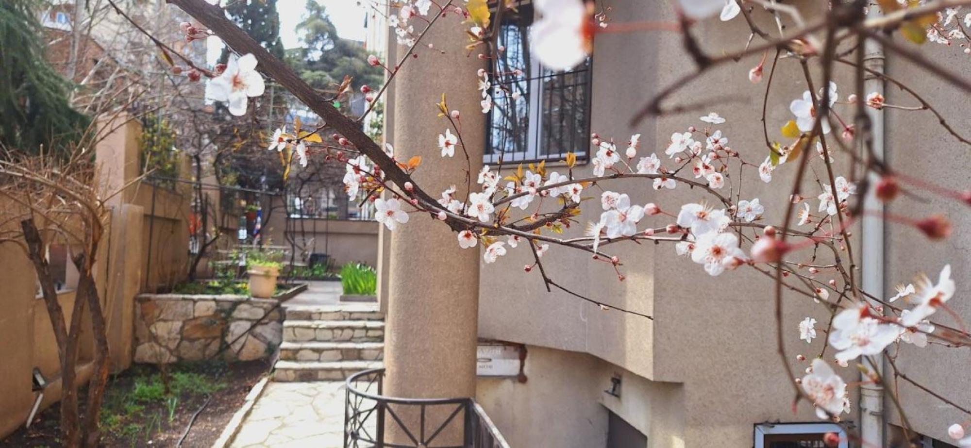 Iliani Hotel Tbilisi Exterior photo